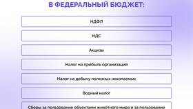 Чем полезны налоги для общества в Ростелеком