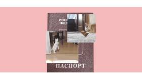 Что делать, если потерян паспорт дома в Ростелеком