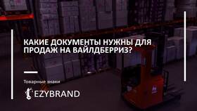 Что писать в названии реквизитов Wildberries в Ростелеком