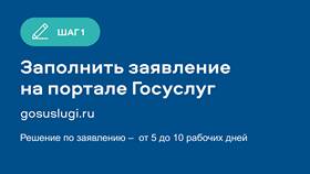 Как получить справку НСУ через Госуслуги в Ростелеком