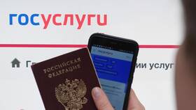 Как восстановить ИНН через Госуслуги в Ростелеком