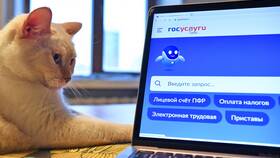 Как запросить услуги ПФР через портал Госуслуги в Ростелеком
