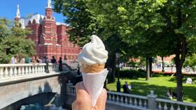 Калорийность рожка мороженого из McDonald's в Ростелеком