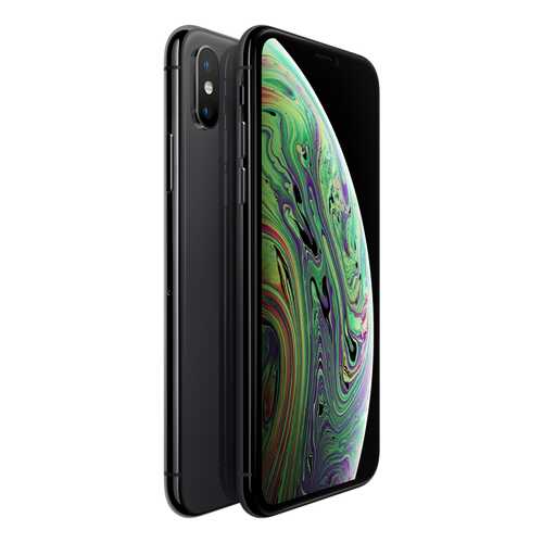 Смартфон Apple iPhone XS 256GB Space Grey (MT9H2RU/A) в Ростелеком